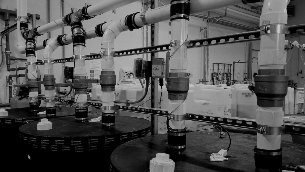 Streamlining Softness: The SaltCo Way