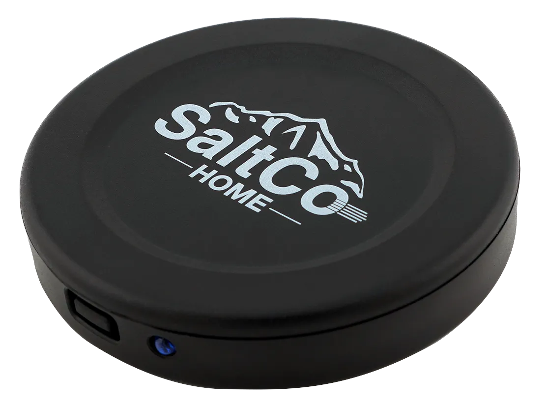 Salt monitoring sensor